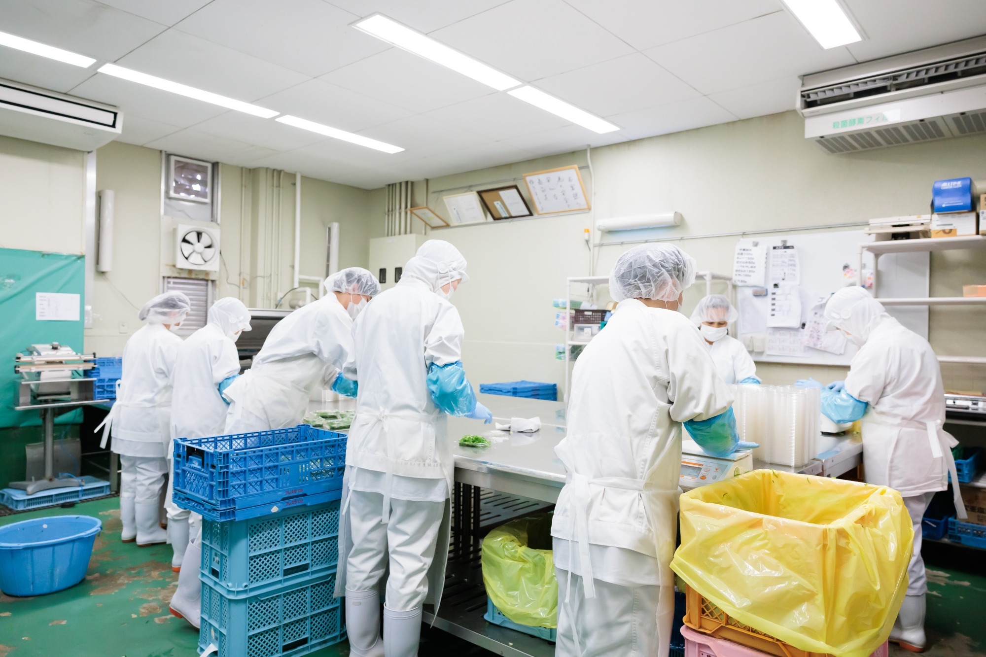 加工場要員（軽作業スタッフ）